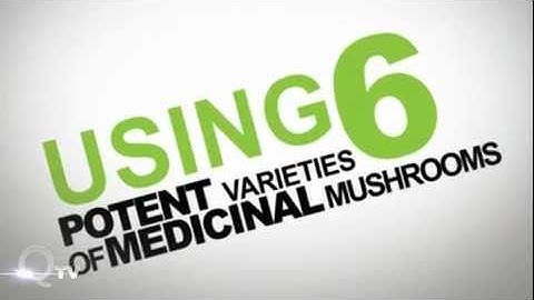 Qivana Qore System Overview - Discover Qivana Qore Defense Today!