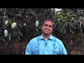 Learn Organic Farming with Shankar - Episode 6 - Humus