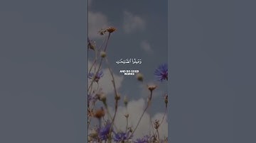 تلاوة خاشعة من سورة العصر بصوت الشيخ سعد الغامدي #القرآن_الكريم