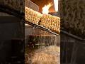 From Flour to Instant Noodles Packs |  Inside a Massive Factory #factoryprocess #howitsmade #shorts