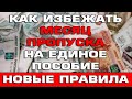 Как избежать месяца пропуска при продлении Единого пособия в 2024 году