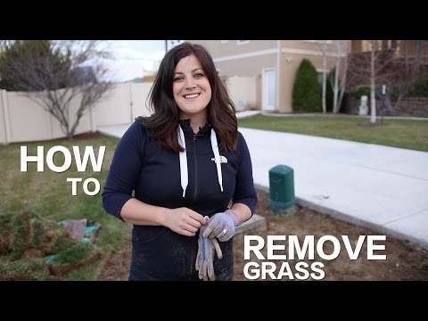 Video: Hoe kom je van grasplanten af?