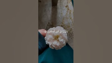 والله يحب الصابرين 🤍#قرآن #ياسر_الدوسري #quran #قران_كريم #تلاوة_خاشعة #مقاطع_دينيه