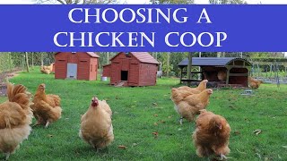 Choosing a Chicken Coop: What to Look For