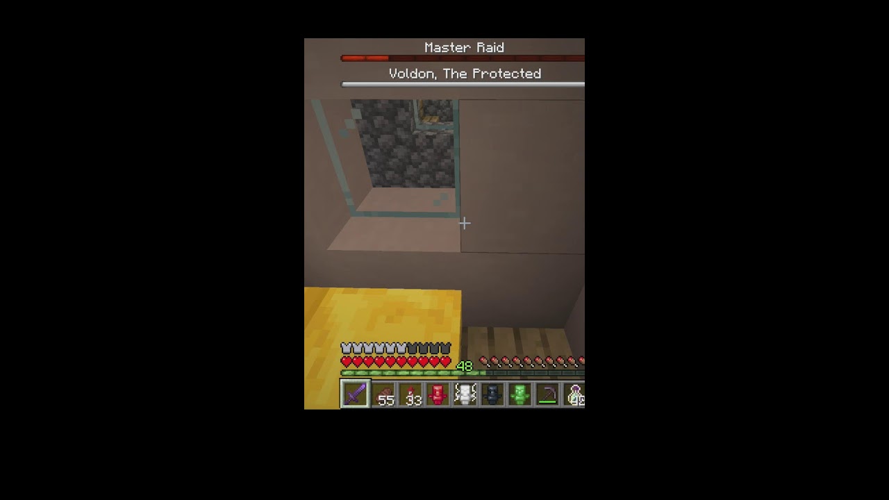 Destroying NEW Difficult Raids #minecraft (Portrait)