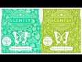 Tester tuesday blooming marvelous and key lime  grapefruit scentsy reviews