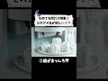 【ASMR】一つ選ぶのならどれ？✨🍬 舐めてる間だけ特別な力が手に入る夢のキャンディ
