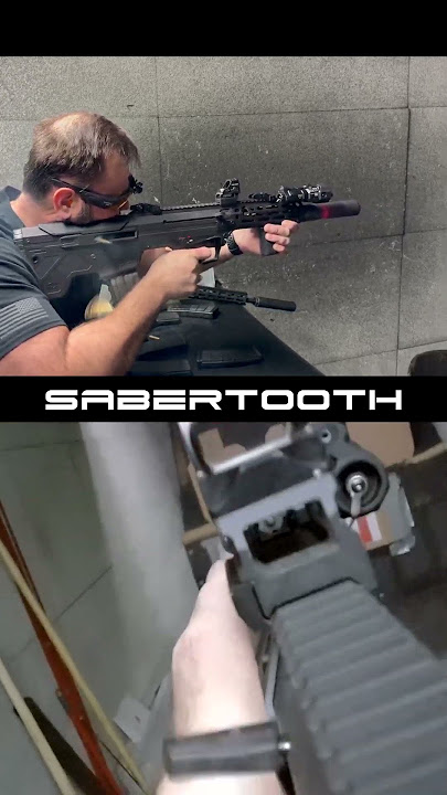 Desert Tech Sabertooth Full Auto Accuracy #tacticalgun #deserttech #wlvrn #mdr