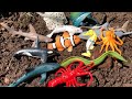 Washing muddy sea animal toys  megans world  seaanimals