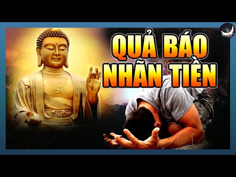 Video: Các nghiên cứu trả bao nhiêu tiền?