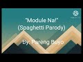 Module Na (Spaghetti Parody)