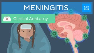 Meningitis: Causes, symptoms, treatment | Kenhub