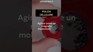 Zeolite: il magnete che aiuta a liberare i mitocondri dai metalli pesanti #arb_fenix #zeolite
