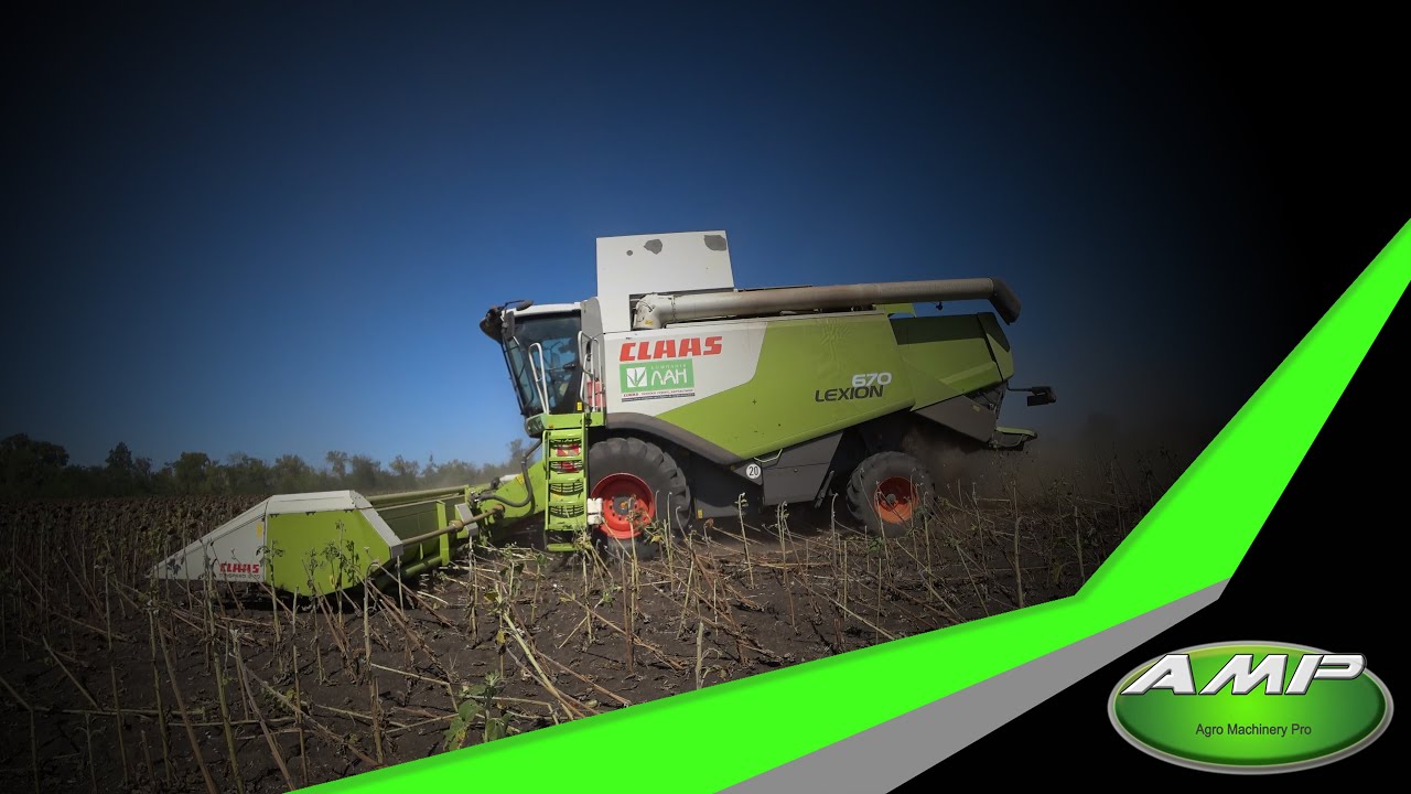 CLAAS Lexion 670 + SUNSPEED _ 4K _ # Harvesting sunflowers