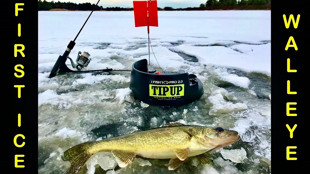 Ice Fishing First Ice for Walleye with the new 2.0 IFishPro Tip-Up! 