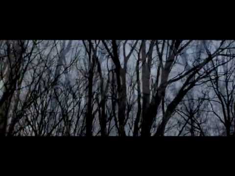 Yosi Horikawa — Yosi Horikawa - Stars (Official Video) directed by GAREN