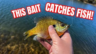 Ultralight Fishing with a Micro Finesse Bait!