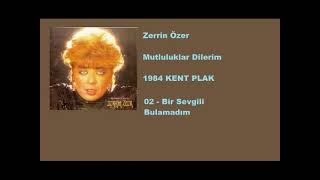 Zerrin Özer  - Bir Sevgili Bulamadım Resimi