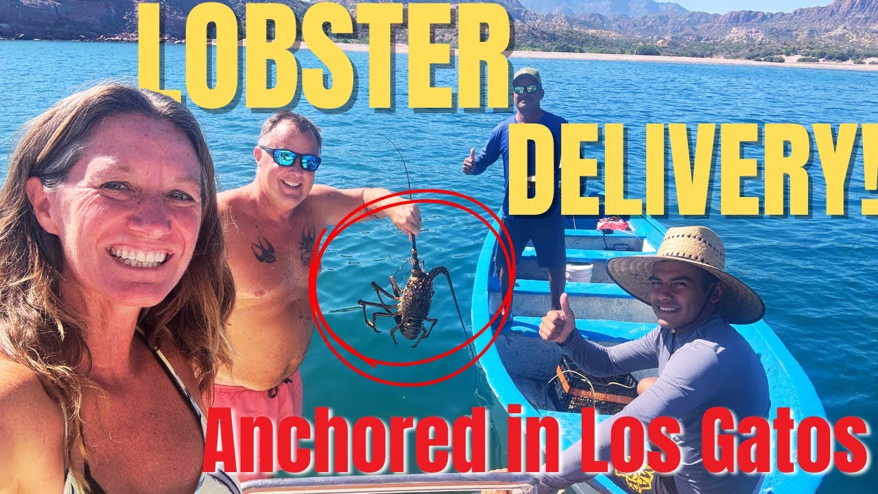 Lobster Dinner & Flop Stoppers!  🦞 Making Friends at Los Gatos Anchorage in Baja Mexico