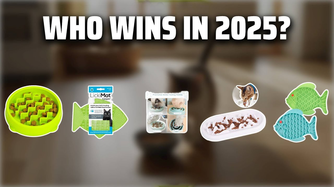 The Top 5 Best Slow Cat Feeder in 2025 - Must Watch Before Buying!