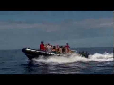 Video: Captain Zodiac Raft արշավներ Կաուայում, Հավայան կղզիներ