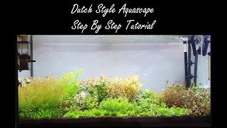 Dutch Style Aquascape: 200l Step By Step Planted Tank Tutorial