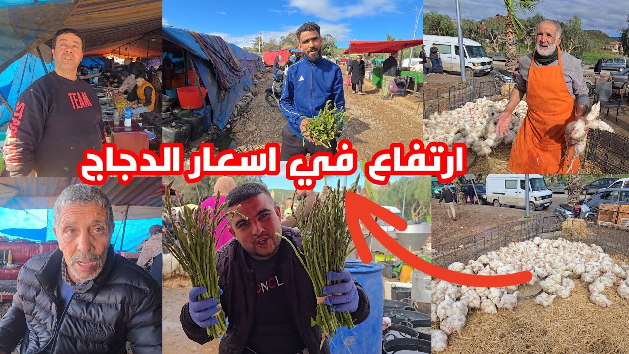 ارتفاع صاروخي في اسعار الدجاج شوفو شنو قالو التجار بعد امطار الخير 
