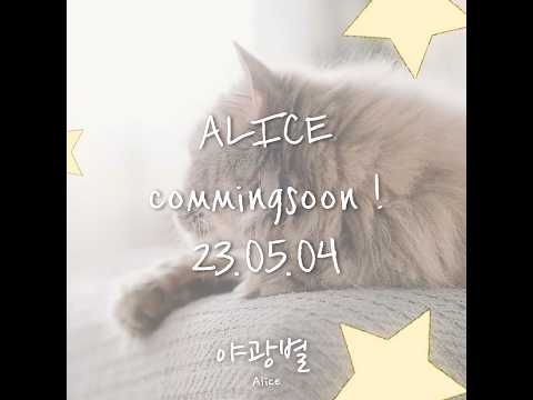 [teaser] 야광별
