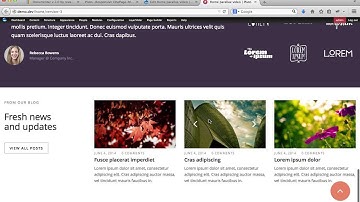 Pluto Drupal page builder import Home Parallax video