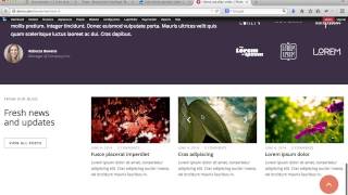 Pluto Drupal page builder import Home Parallax video