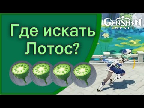 Genshin Impact | Где искать лотос?