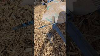 Pulluğun Tekerinin Demiri Düşünce Kapı Kulpu Taktım Resimi