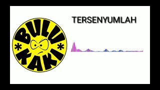 TERSENYUMLAH - BULU KAKI (Official Audio)