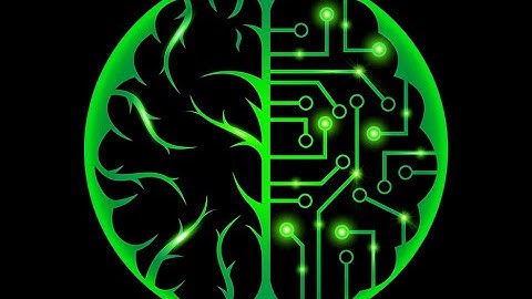 The role of the CIO in digital transformation