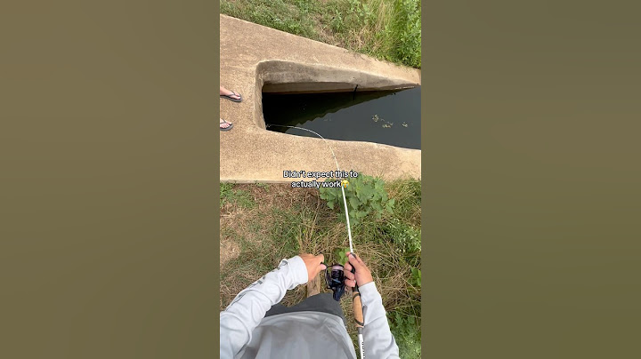 I did NOT expect this to work!😳 #fishing #shorts