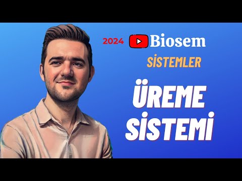 Üreme Sistemi | Konu Anlatımı 11. Sınıf Biyoloji AYT YKS 2024