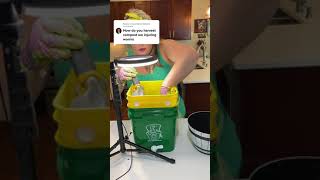 Using the Light Harvest Method for Harvesting Our Indoor Worm Compost Bin Without Touching Any Worms