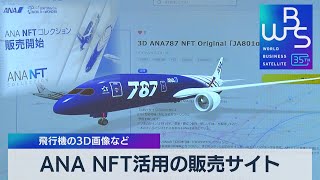 ＡＮＡ ＮＦＴ活用の販売サイト 飛行機の３Ｄ画像など【WBS】（2023年5月30日）