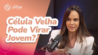 Senescência Celular Um Mal Necessário?