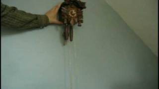 How to open and setup your NEW Cuckoo Clock, part 3