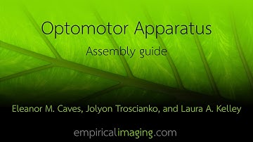 Optomotor Apparatus Assembly Guide