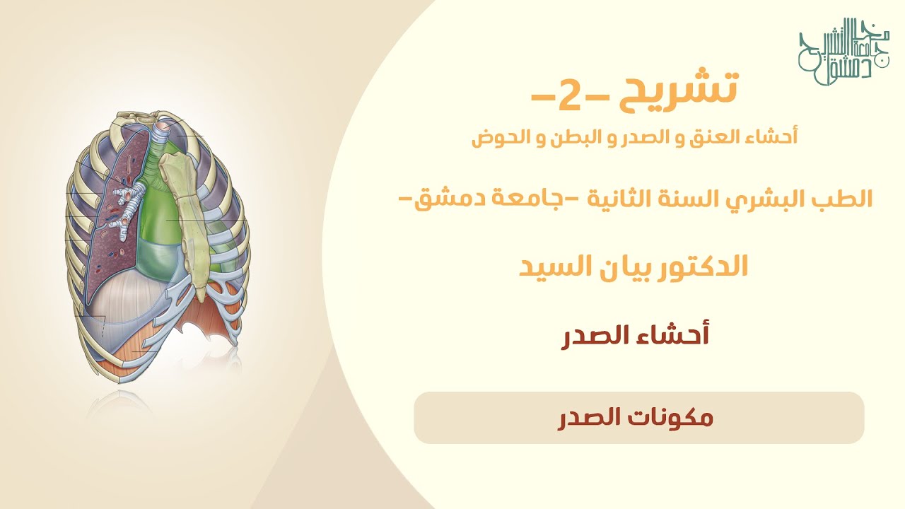 تشريح 2 | مقدمة الصدر | د.بيان السيد