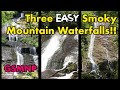 3 VERY easy waterfall hikes in the Great Smoky Mountains National Park