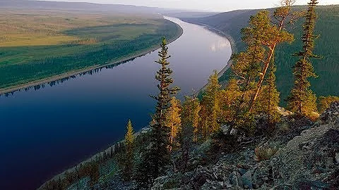 S.Mandelker PhD: Core Topics #1: Distortion