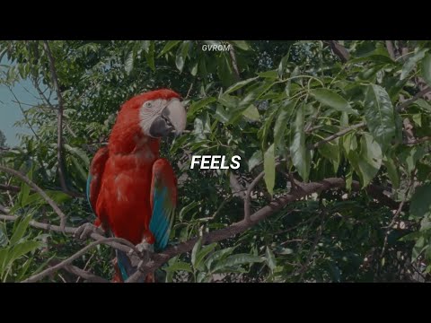 Calvin Harris - Feels (feat. Pharrell Williams, Katy Perry, Big Sean) // Traducida al Español