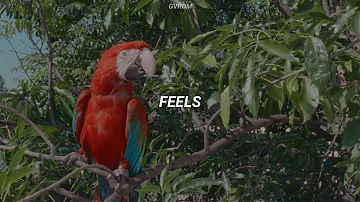 Calvin Harris - Feels (feat. Pharrell Williams, Katy Perry, Big Sean) // Traducida al Español