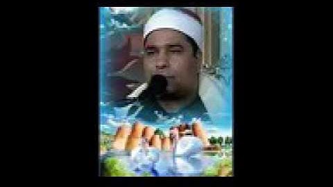 من روائع الشيخ محمد الليثي سورة النمل