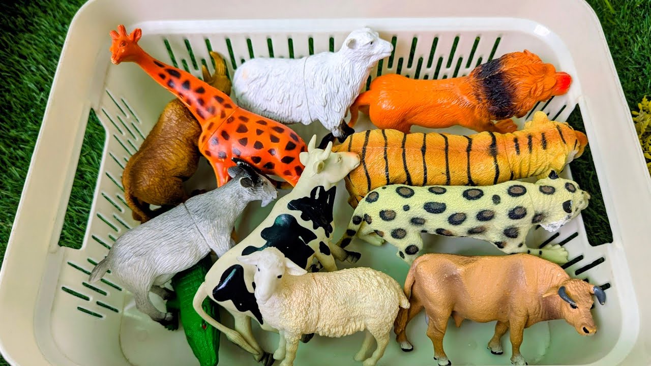 The Exciting Journey! Farm and Wild Zoo Animals with Fun Learning