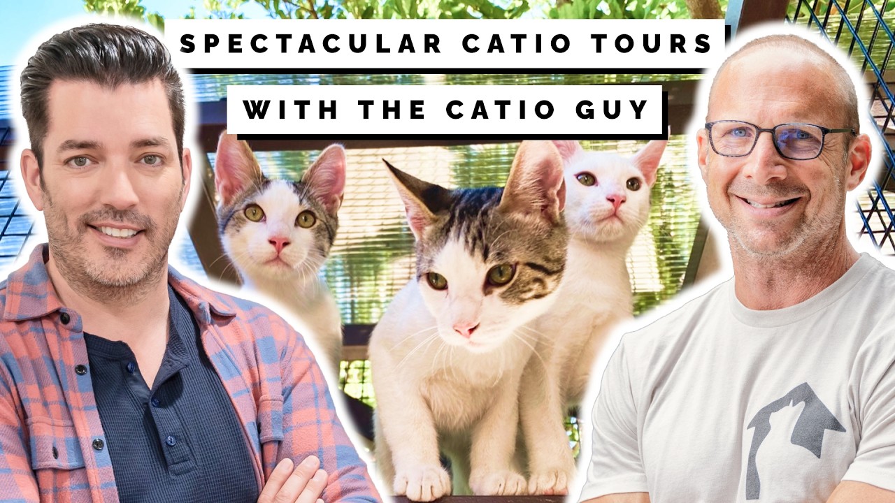 🐱 Inside Cat Disneyland: this Catio is NEXT LEVEL (You've Never Seen This Before)