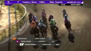 Vidéo de la course PMU PRIX EMBRUJADO